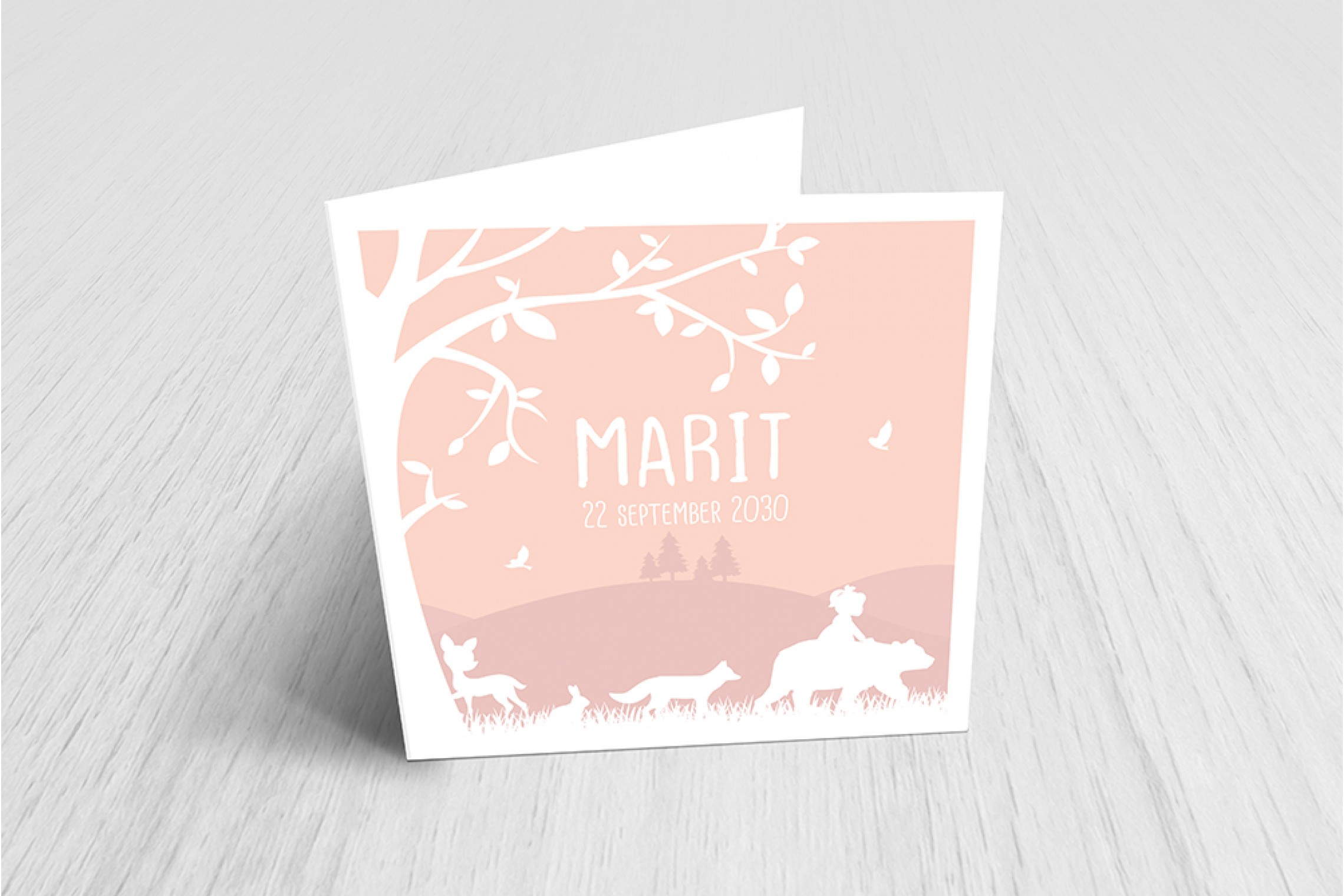 Meisje met dieren